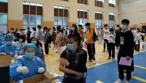 平乡事件爆料最新消息,真相逐步浮出水面,官方回应引关注 第3张 平乡事件爆料最新消息,真相逐步浮出水面,官方回应引关注 第3张