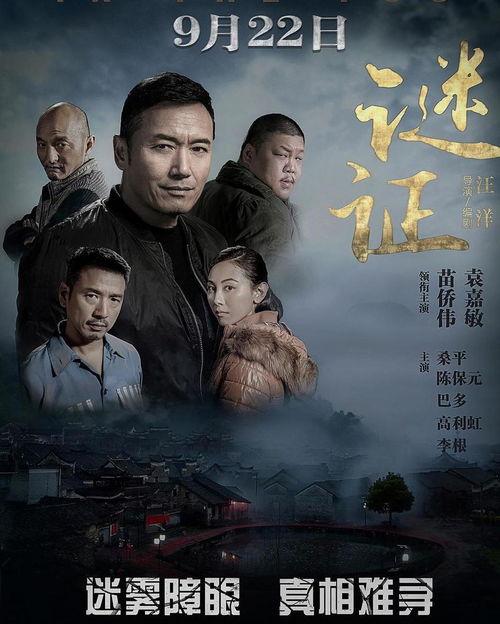 谜证电影 在线观看,在线观看，揭秘悬疑世界  第2张